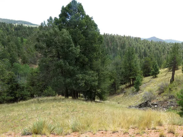 179 Idlewild Dr, Cripple Creek, CO 80813
