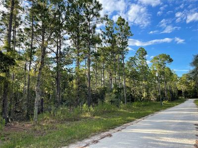 SE 141st Ave, Morriston, FL, 32668