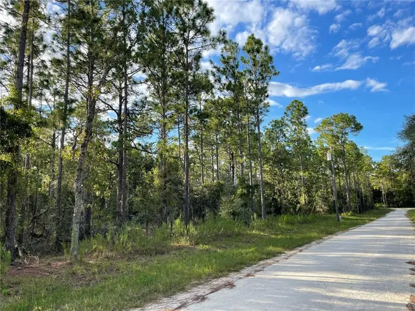 SE 141st Ave, Morriston, FL 32668