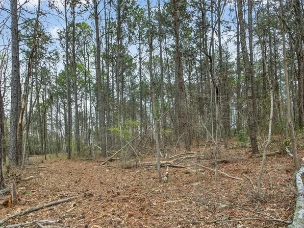 1812 Upper Bethany Rd, Ball Ground, GA 30107