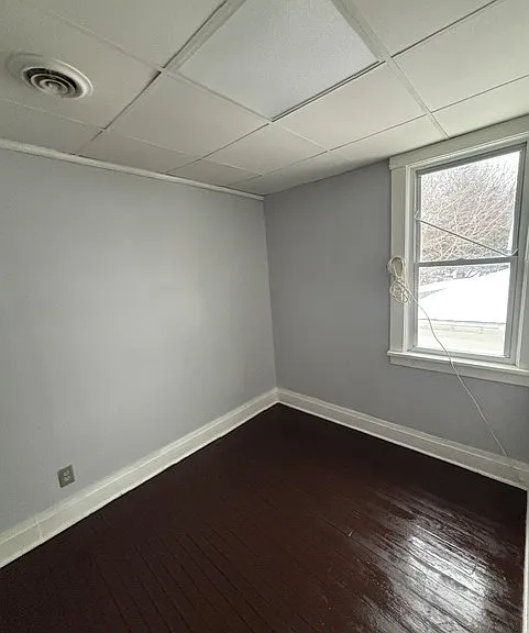 403 Ellicott St #4 — Photo 5