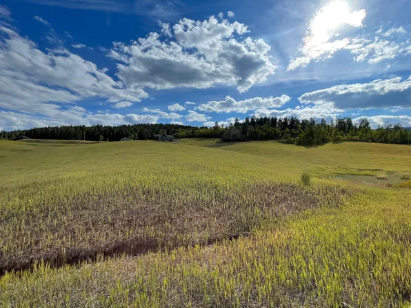 46 Elk Watch Ln, Freedom, WY 83120