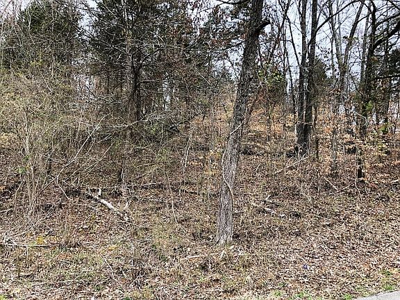 4th image of Pinecrest Dr #19-lot 17-