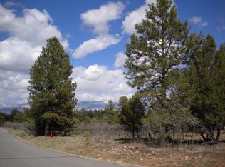 Bear Club Drive, Ridgway, CO 81432