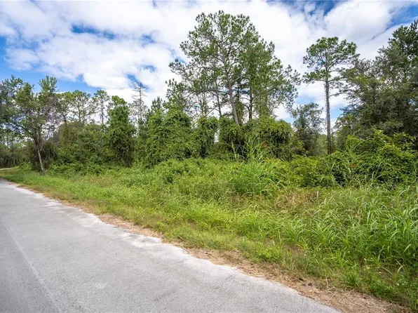 Locust Run Dr Lot 42, Ocala, FL 34472