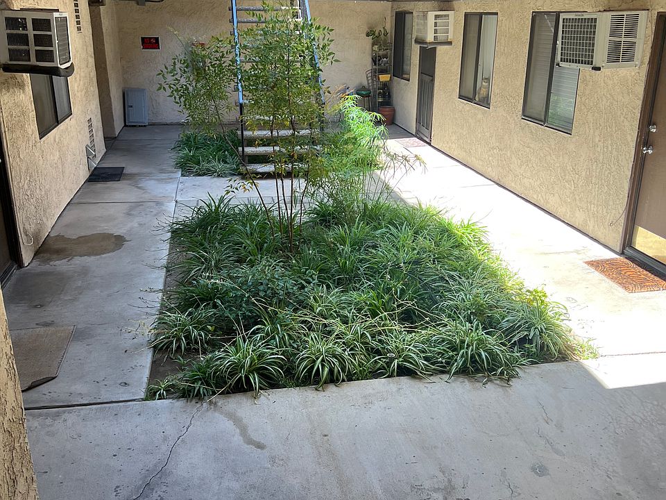 Enterance court yard.