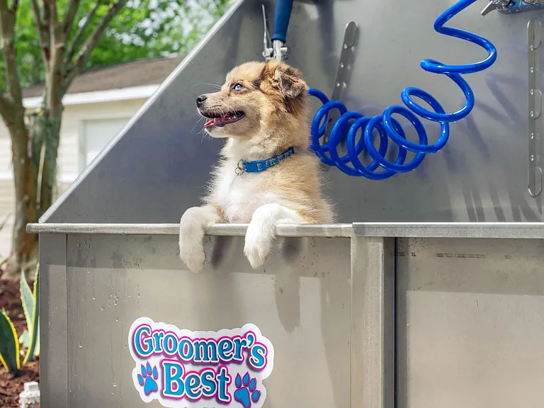 We love your pets and love making it easy for you to care for them, so bring them to the Paw-Spa an on-site dog wash station where you can get your pup feeling their best - fresh and clean.