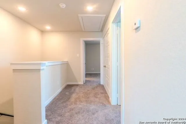 784 Abigail Aly — Photo 11