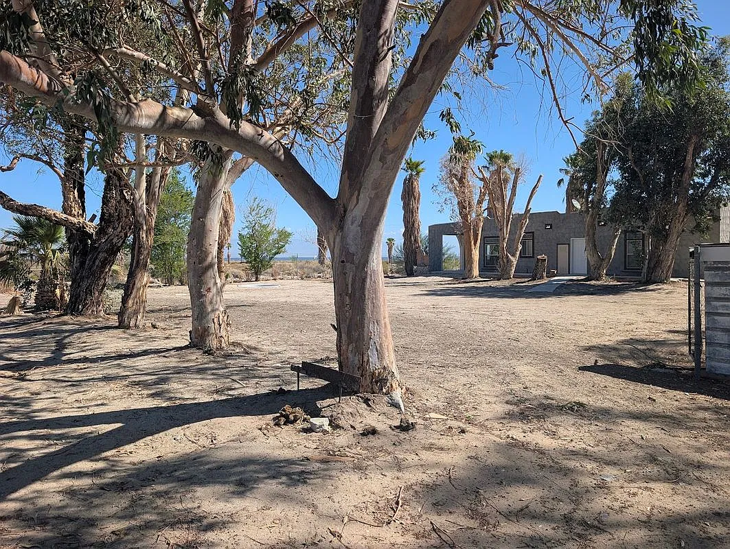 3 bed, 2.0 bath, 1152 sqft, $1,600 — Photo 4