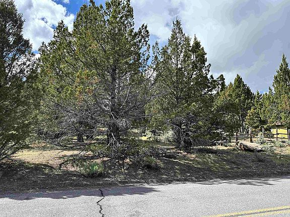 4th image of 508-995 Stone Rd