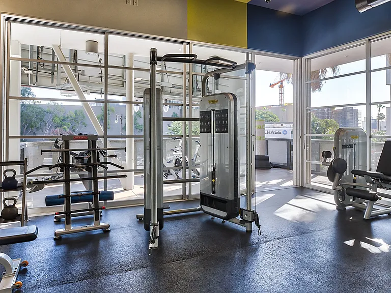 Garage doors open to let in the fresh air and sunlight