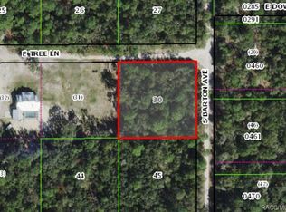 10844 E Tree Ln, Inverness, FL 34450