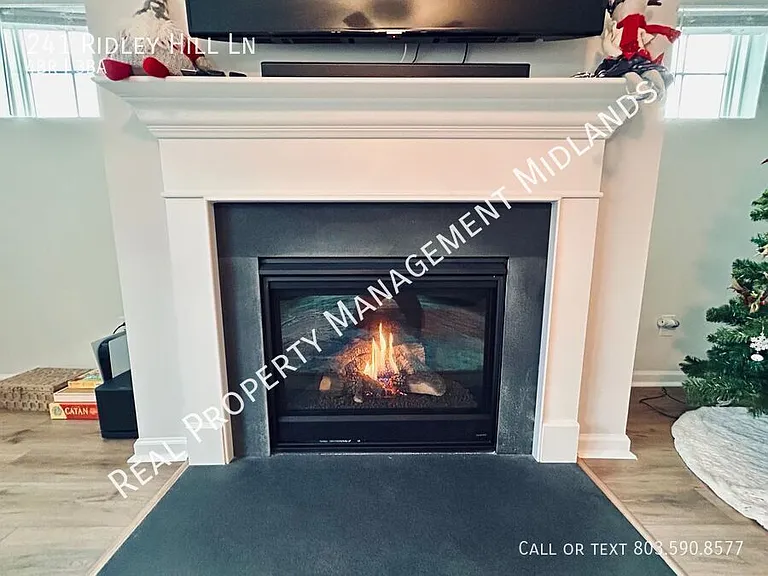 241 Ridley Hill Ln — Photo 8