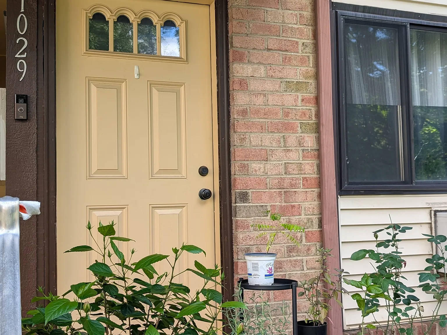 1 bed, 1000 sqft, $2,100 — Photo 2