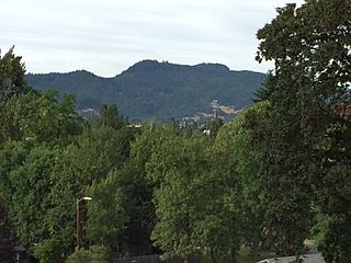 The Lot's Beautiful View 