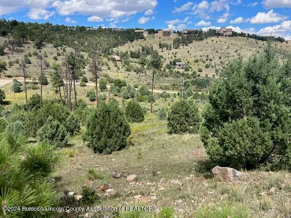 21 Stable Ct, Alto, NM 88312