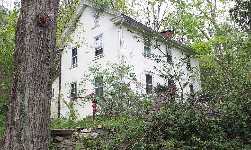 Main Home