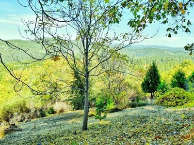 398 Snowberry Ct, Murphys, CA, 95247