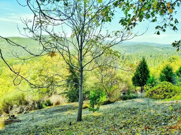 398 Snowberry Ct, Murphys, CA 95247