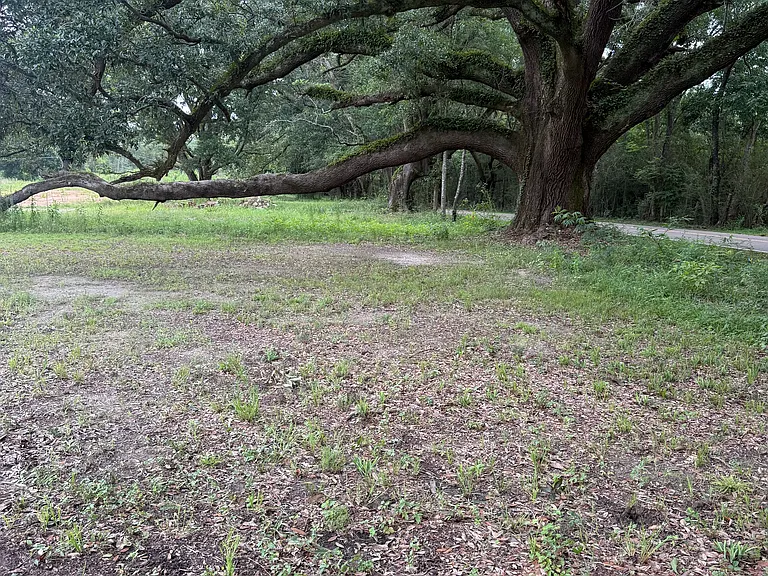 534 Harold Tucker Rd — Photo 2