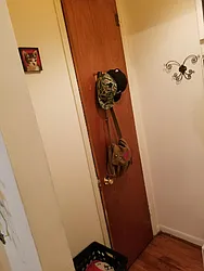 Rented by Chartwell Forest Hills Realty