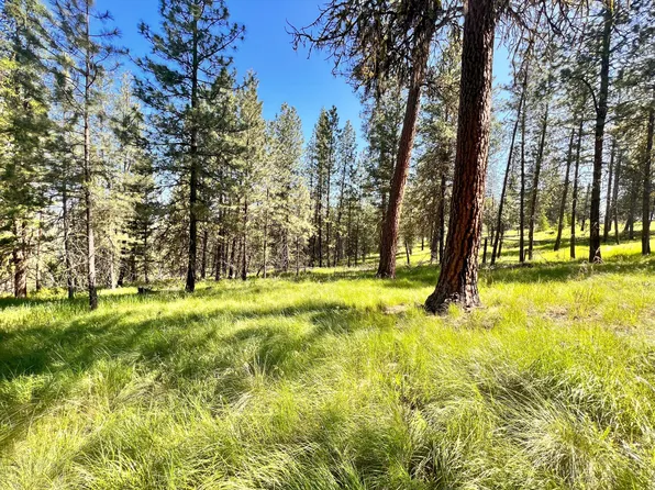 Springridge Rd Lot 21, Republic, WA 99166