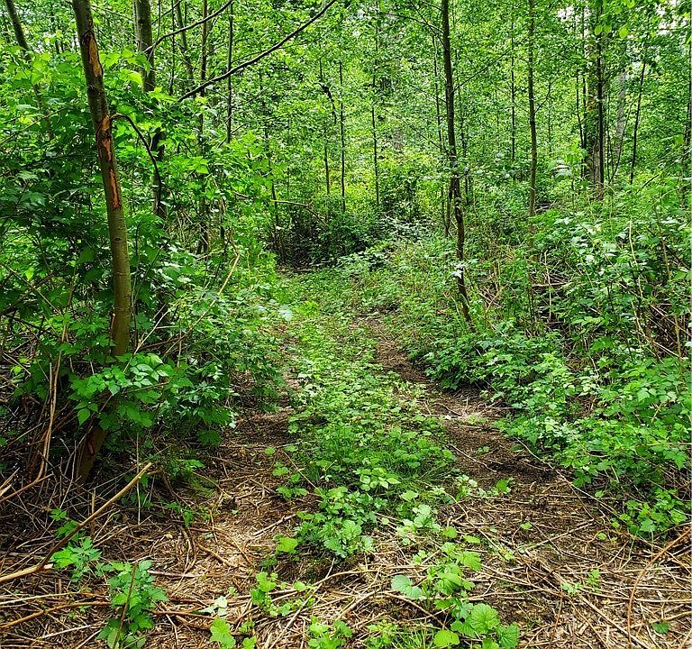 1st image of 0 W Elk Run Dr