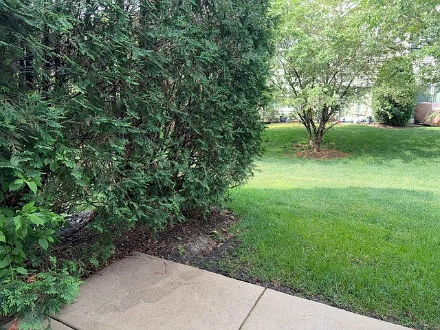 11967 Brunschon Ln #11967 — Photo 28
