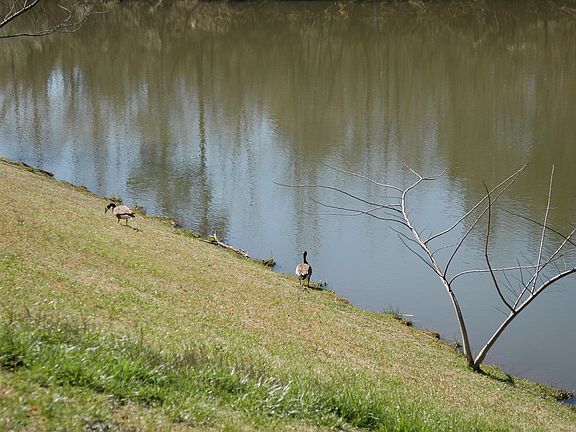 3rd image of 944 Old Cahaba Dr