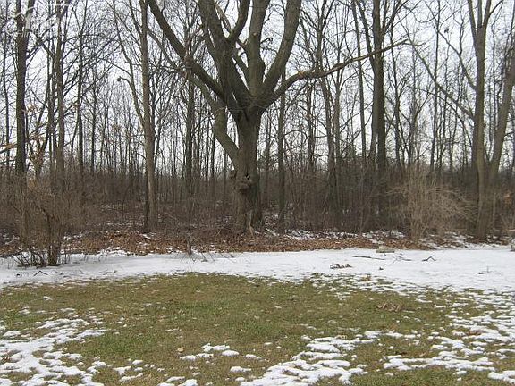 4th image of 1371 Woodnoll Dr