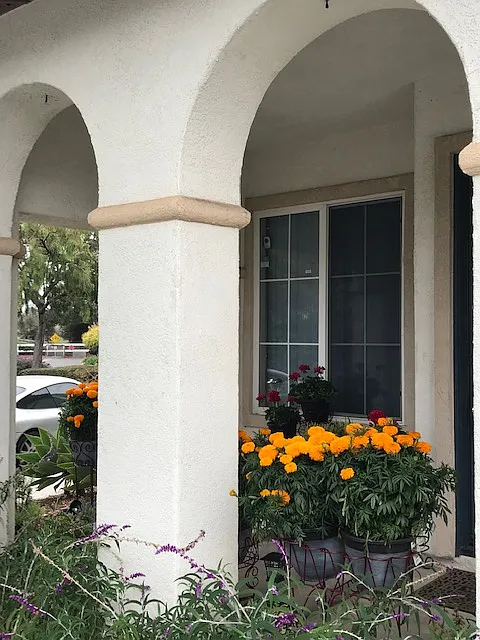 3 bed, 3.5 bath, 1733 sqft, $6,295 — Photo 3