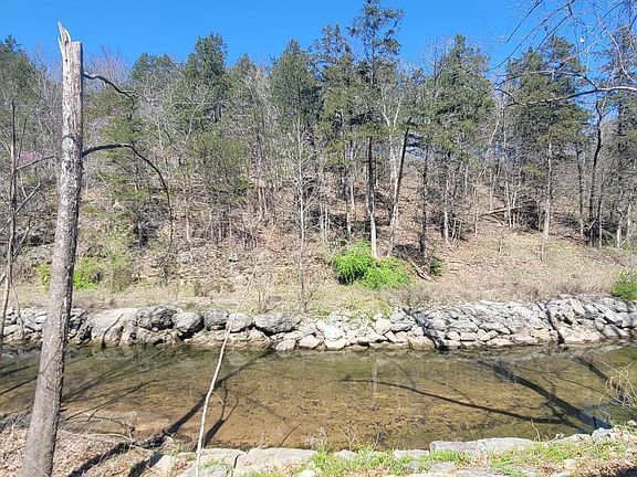 Creekside View Back Yard