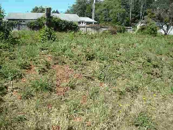 5th image of 210 Childs Ave