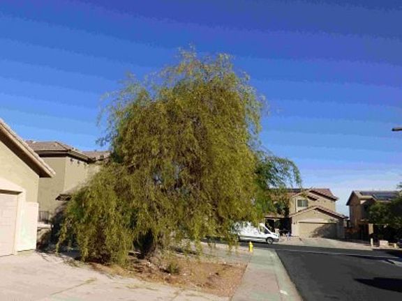 Exterior Neighborhood (street photo)