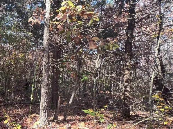 0 Hebron Rd, Middleton, TN 38052