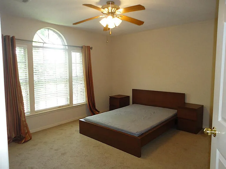 231 Needleleaf Ln — Photo 17