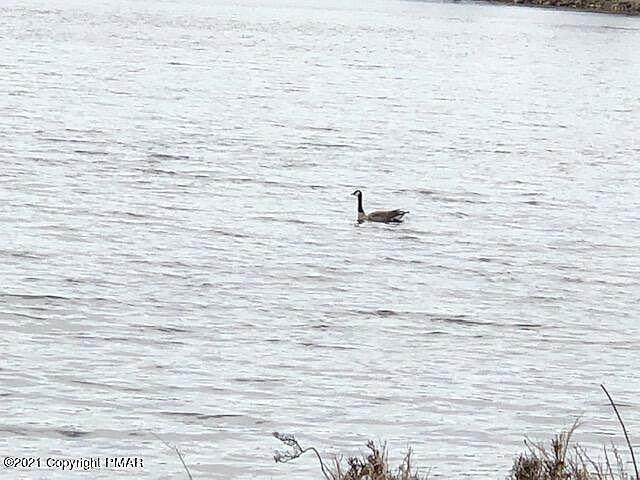 1st image of 164 Waterfront Dr