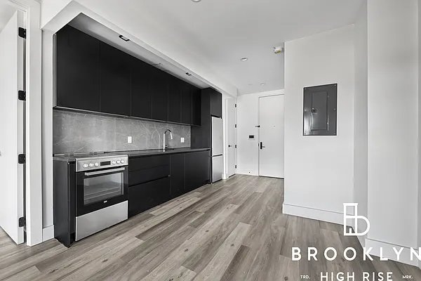 Rented by Brooklyn High Rise LLC | media 159