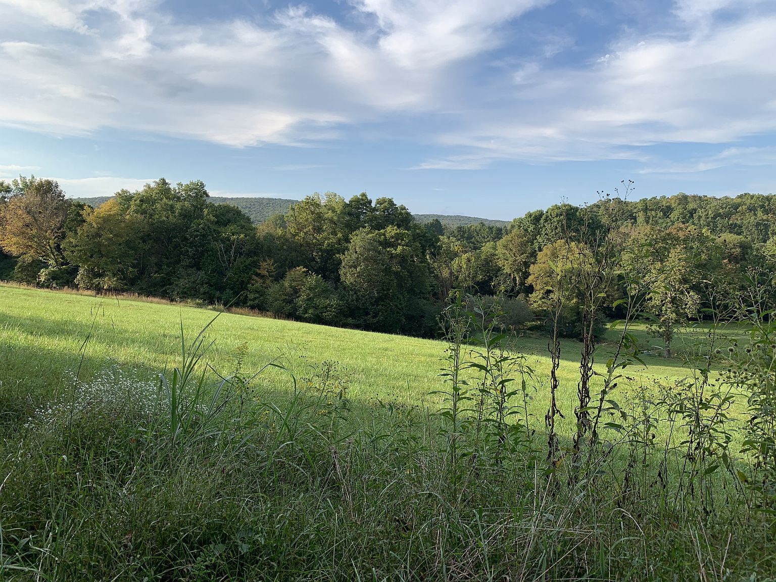 0 Buncombe Rd, Belvidere, TN 37306 | Zillow