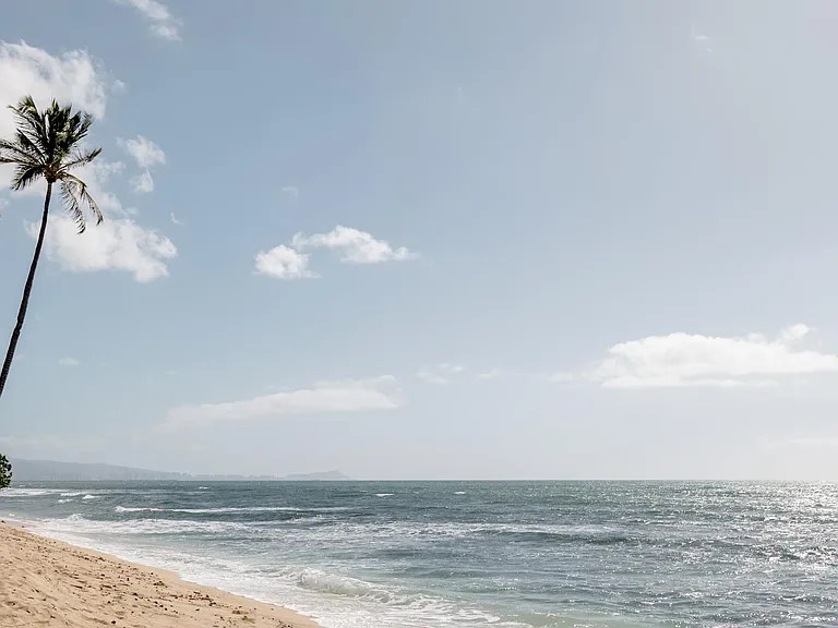 Relax in solitude at your own private beach, away from the bring lights of Waikiki!