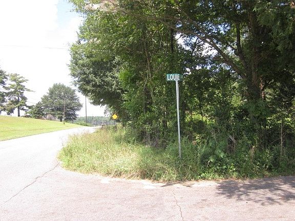 5th image of 197 Louie Ln