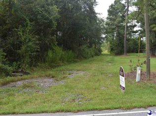 Effingham Hwy, Effingham, SC 29541