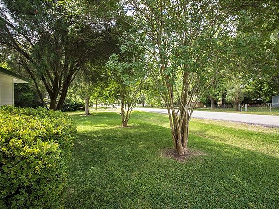 A view of the fabulous trees in the front yard of this marvelous home.