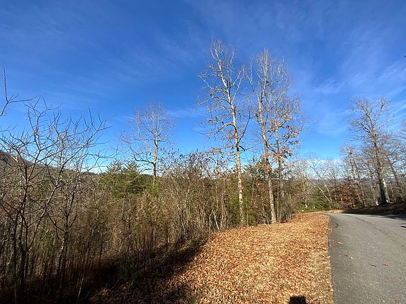 3rd image of 0 Brasstown Rd Lot 54