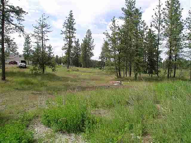 2nd image of 2310 E Pine Mdws