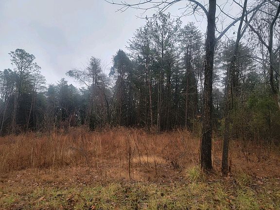 3rd image of 6970 Kings Hill Rd Lot 69-70