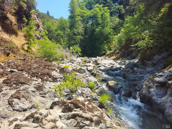 Hwy 101 Highway, Leggett, CA 95585