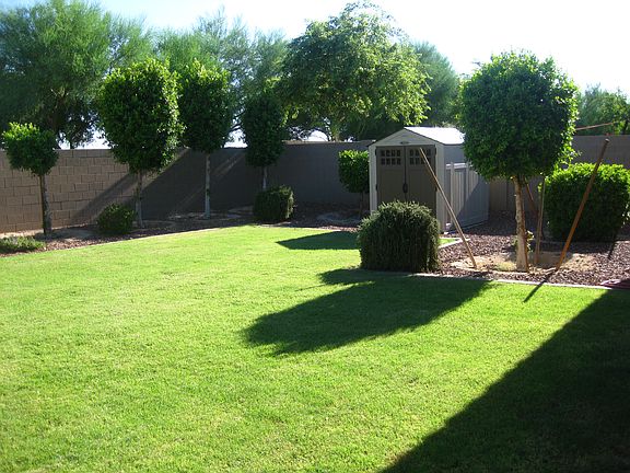 Backyard Shed