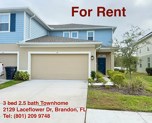 2129 Laceflower Dr Photo 1