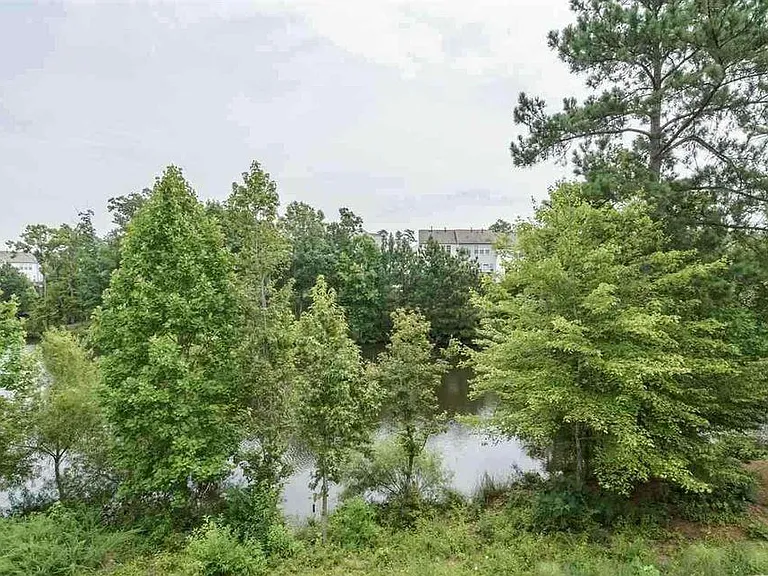 209 Ruby Walk Dr — Photo 11